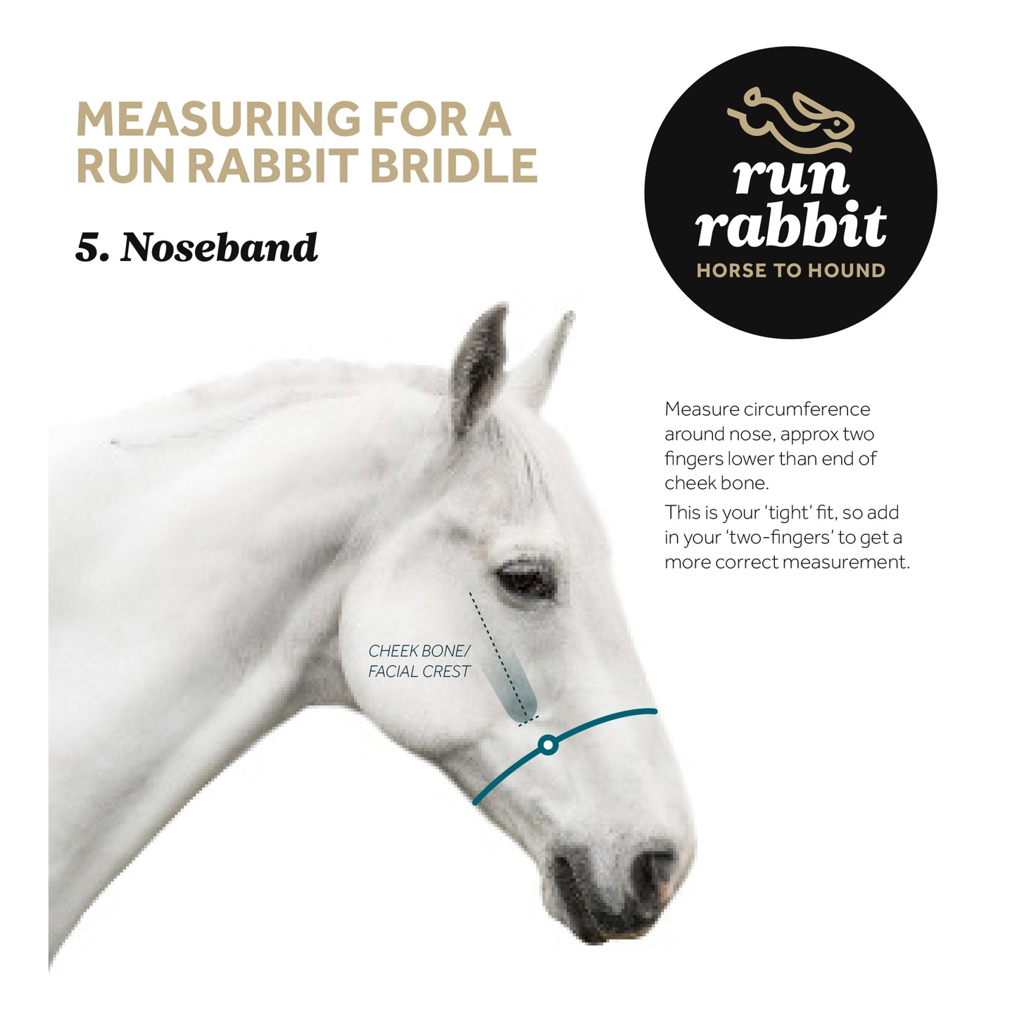 RR Padded Hunter Noseband