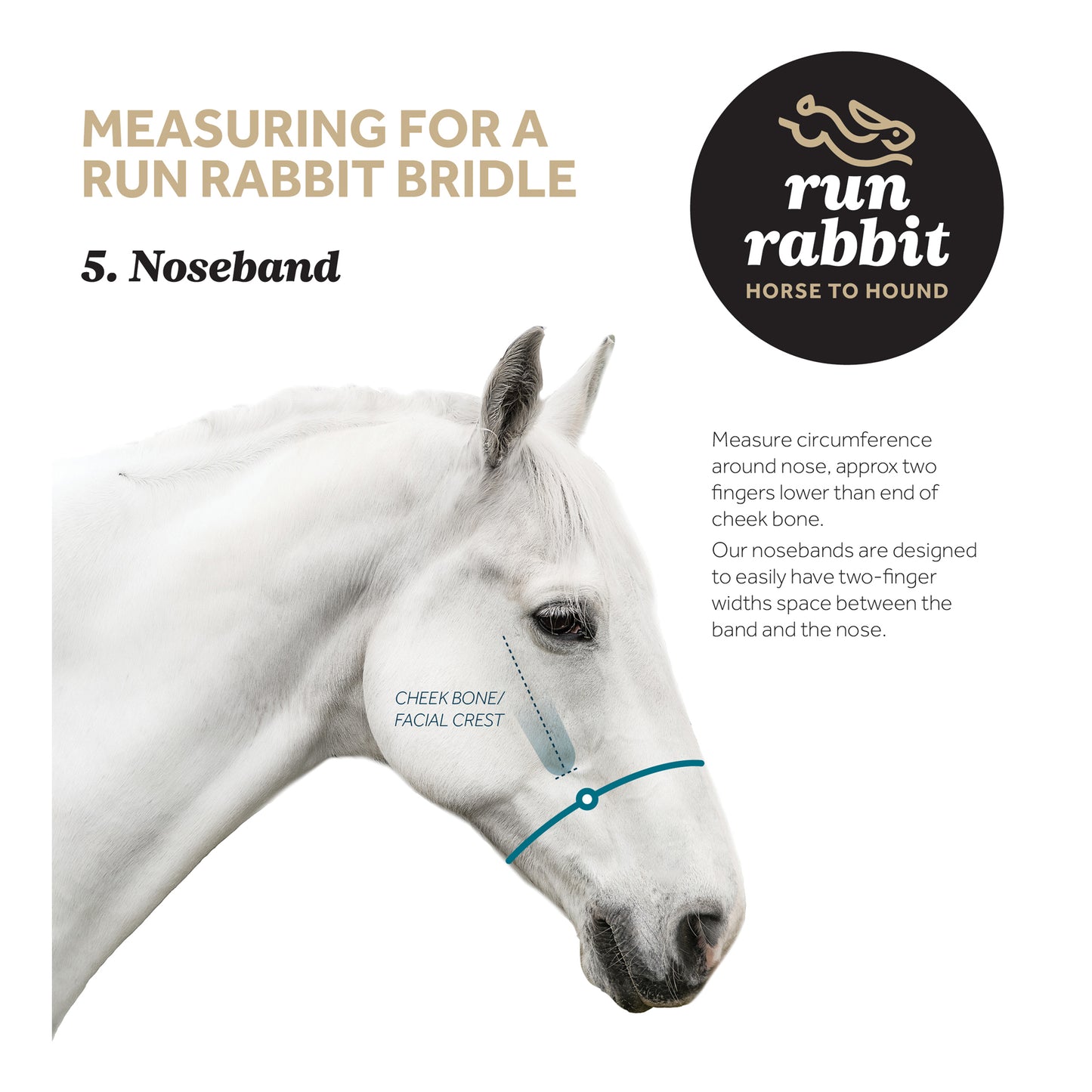 RR Classic Lines Noseband