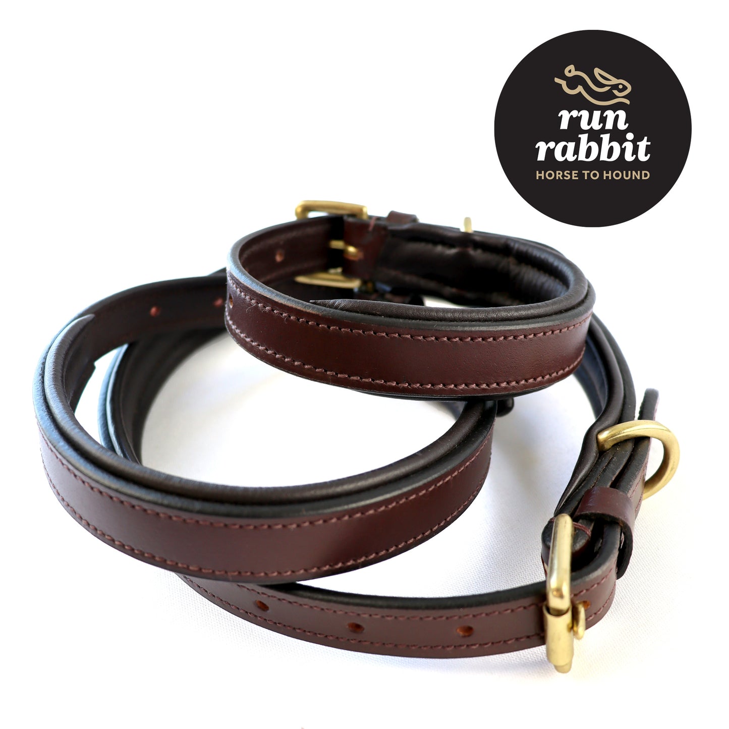 RR Classic Padded Dog Collar