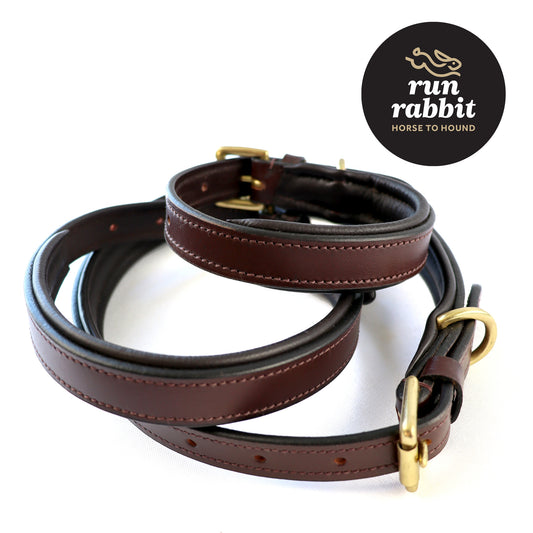 RR Classic Padded Dog Collar