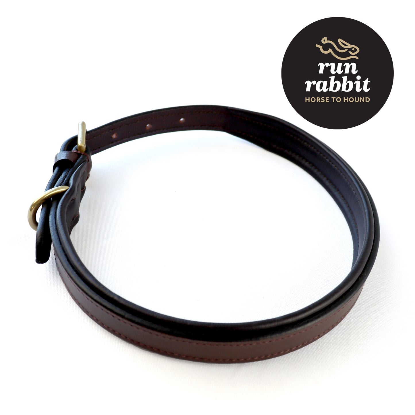 RR Classic Padded Dog Collar
