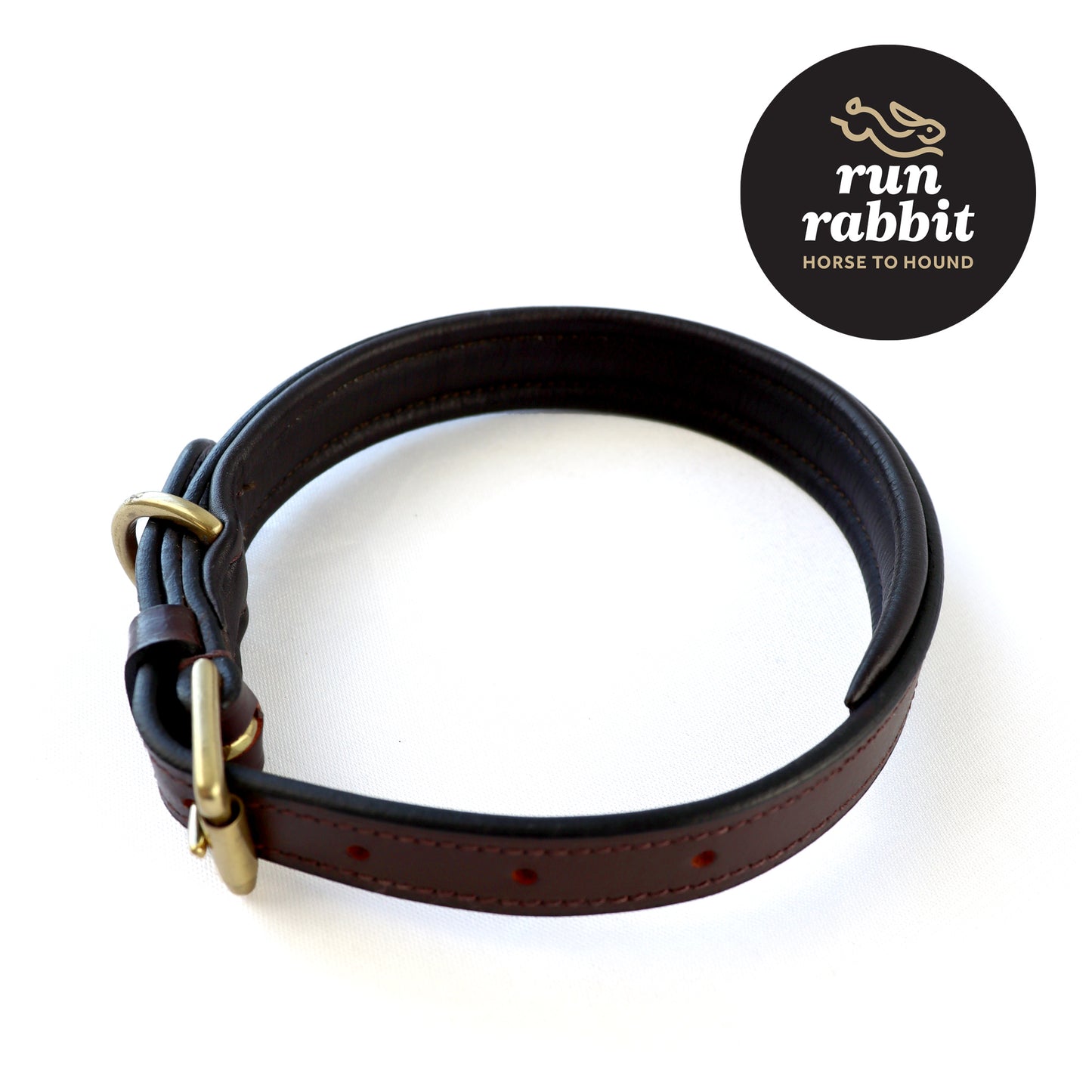 RR Classic Padded Dog Collar