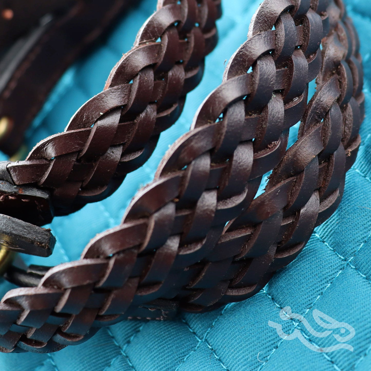 RR Braided Dog Collar