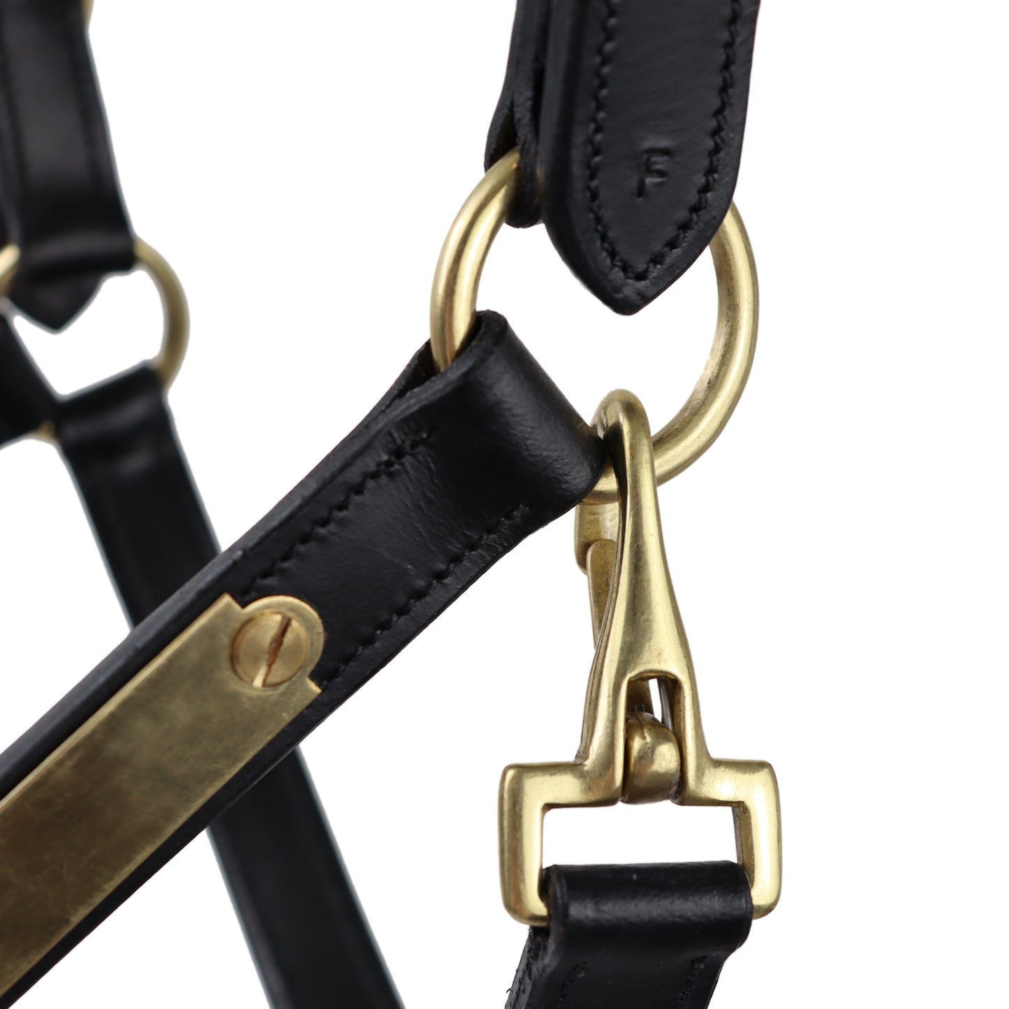 RR Anatomical Halters