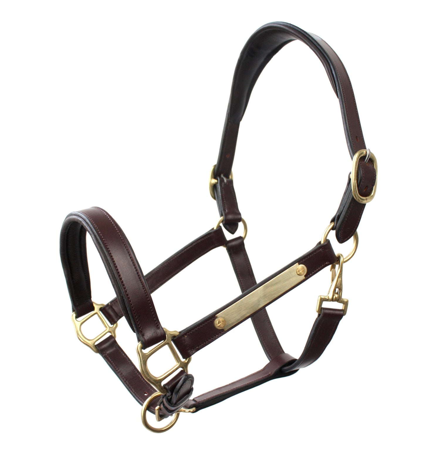 Halters & Leads