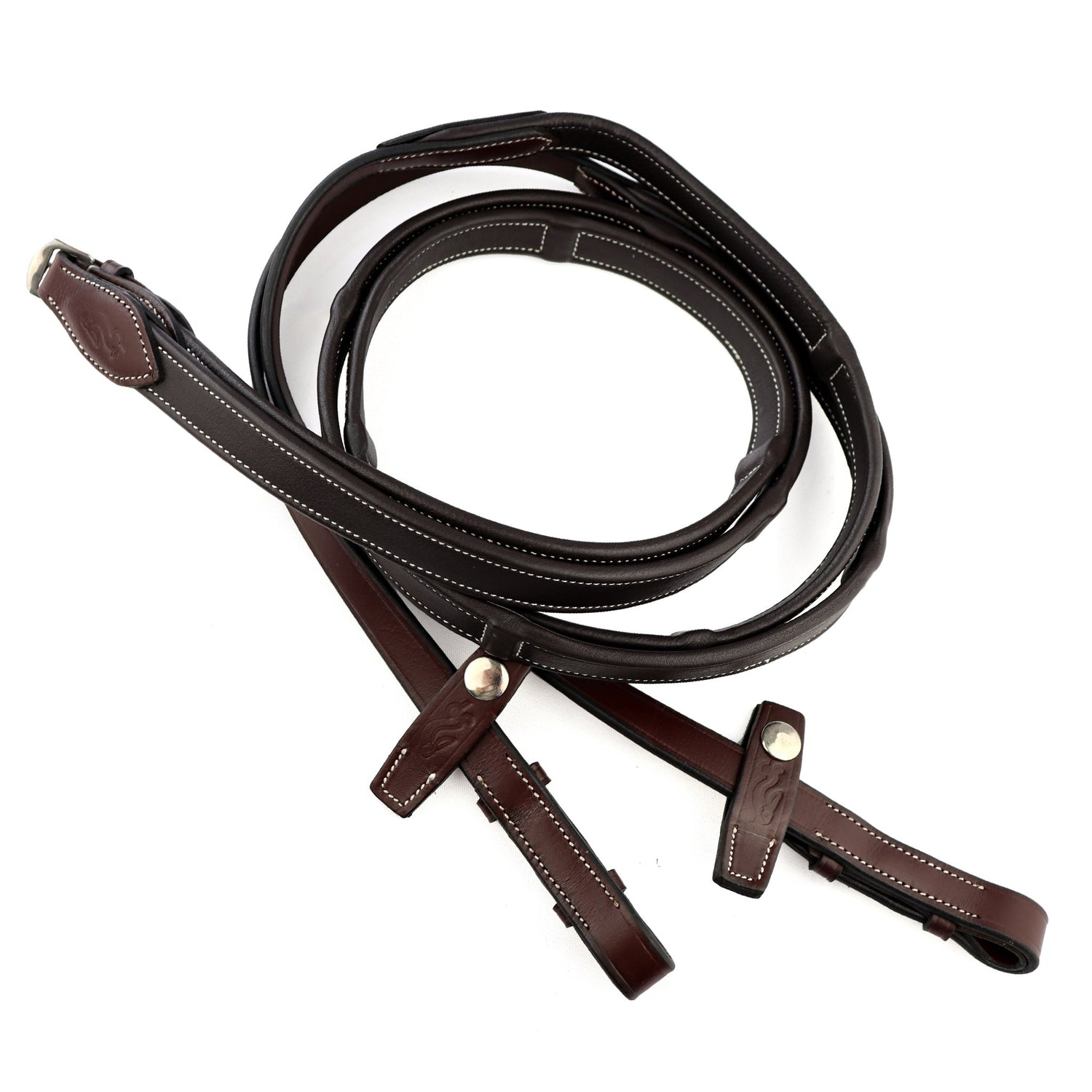 Reins