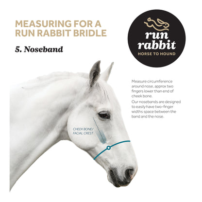 RR Classic Lines Noseband